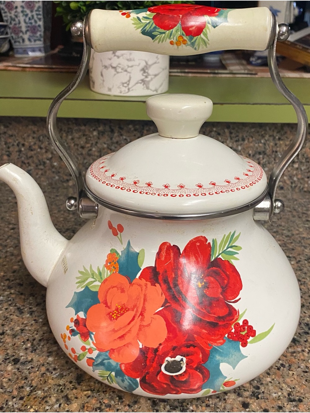 The Pioneer Woman Cheerful RoseWhite Enamel Teapot Kettle